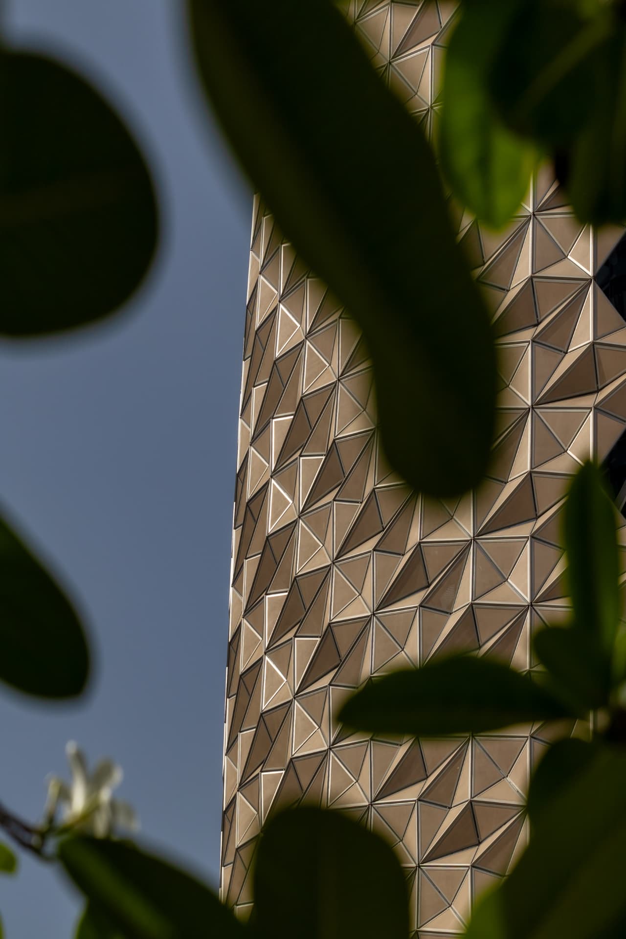 ADIC Headquarters facade seen behind blurred foreground palm fronds in Abu Dhabi